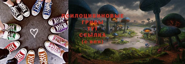 ПСИЛОЦИБИНОВЫЕ ГРИБЫ Беломорск
