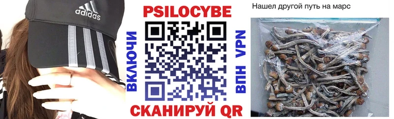 blacksprut зеркало  Кодинск  Псилоцибиновые грибы мицелий 